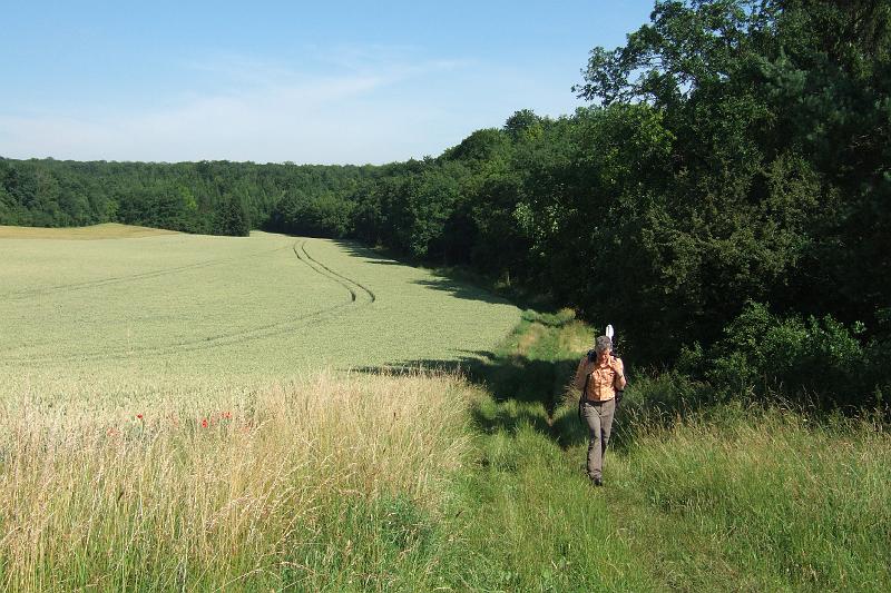 3-9-03 Bei Saizerais.JPG - Leider drücken die hohen Temparaturen die Stimmung ein wenig: Wald bei Saizerais